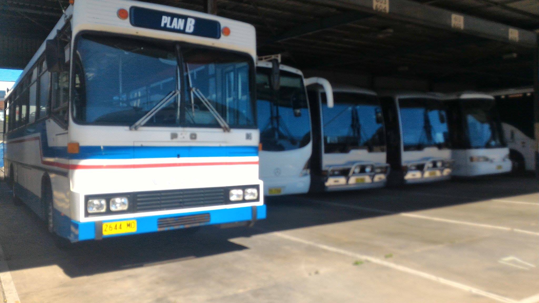 plan b transport school bus hire party bus hire sydney