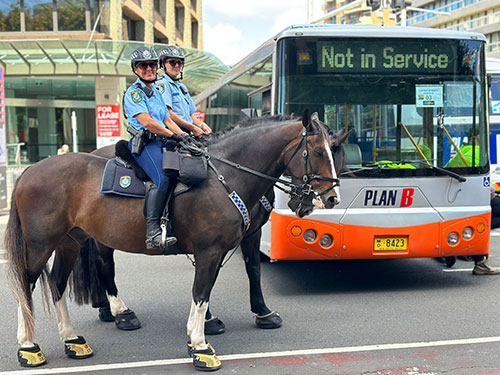 sydney bus hire, bus hire sydney